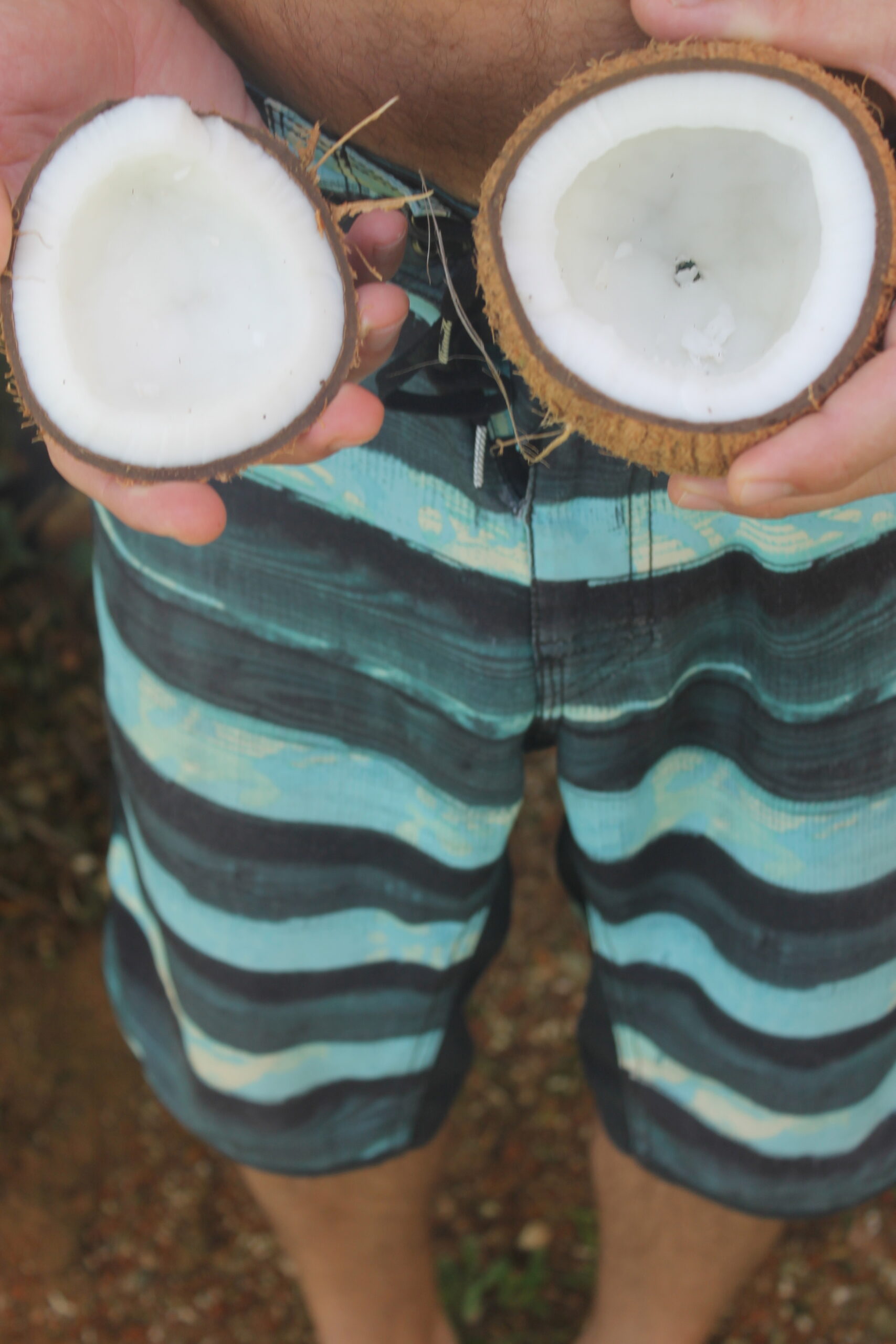 coconuts