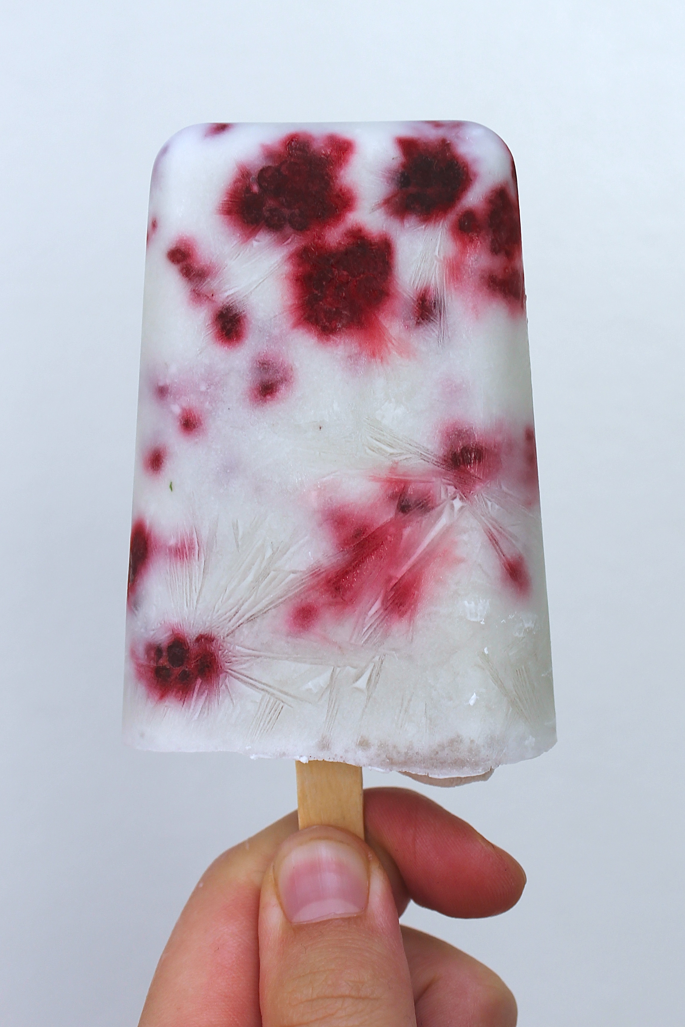 Raspberry Coconut Popsicles