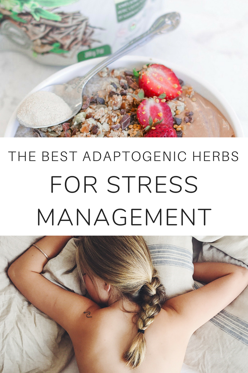 Adaptogens_Stress_Pinterest